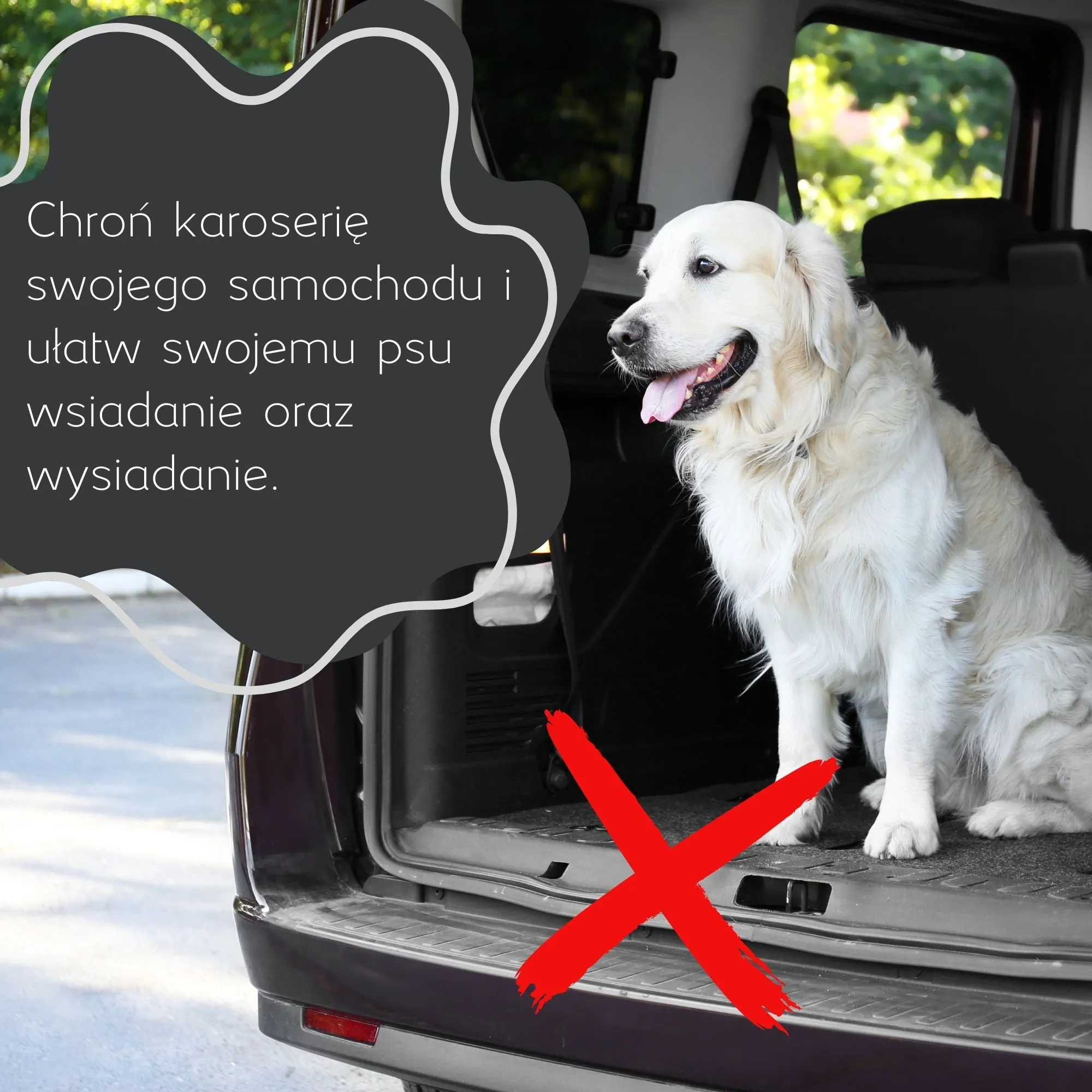 Mata do bagażnika dla psa - szary - Image 10